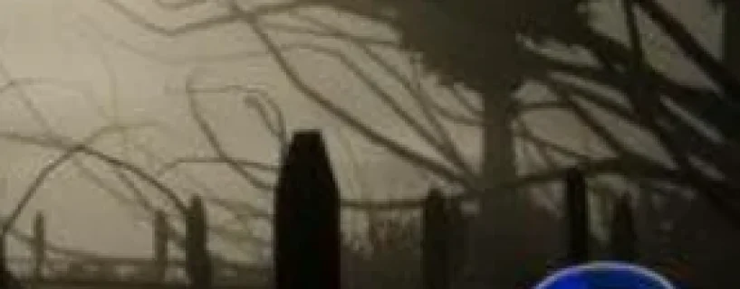 Dye The Bunny 2 Free Download