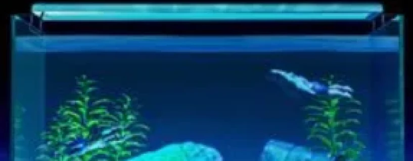 Machorium Muscle Aquarium Simulator Free Download