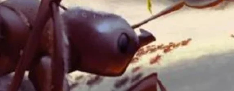 Empires Of The Undergrowth Free Download [v1.000022]