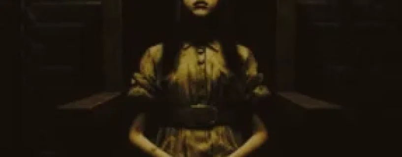 Madhouse Madness: Streamer’s Fate Free Download