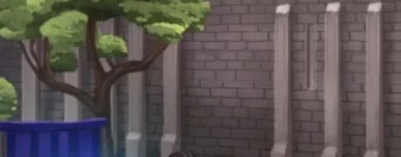 CBO TD Free Download