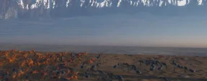 Ant Keeping Simulator Free Download