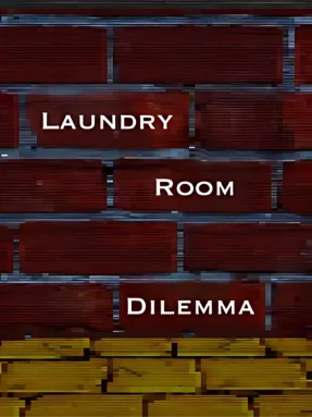 Laundry Room Dilemma