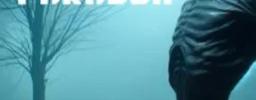 The Echo Paradox Free Download