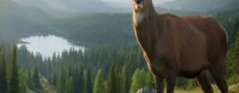 PROJECT HUNT – LONE STAR HUNTING RANCH Free Download