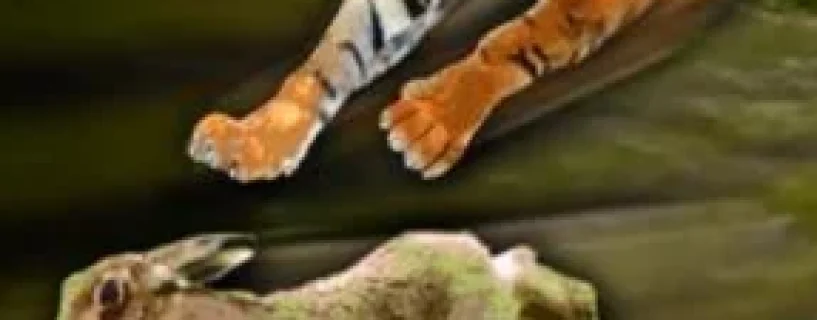 Survivalizm – The Animal Simulator Free Download