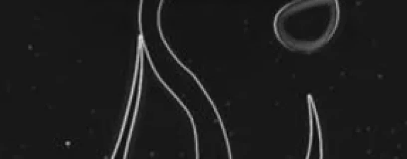 SECTOR ZERO Free Download